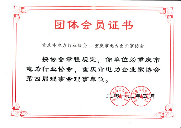 電力行業(yè)會員證書.jpg
