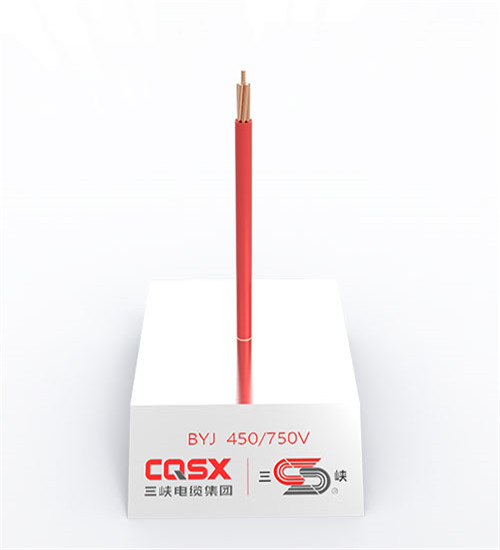 額定電壓450/750V及以下交聯(lián)聚烯烴絕緣電線(xiàn)和電纜
