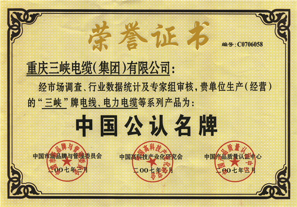 中國(guó)公認(rèn)名牌