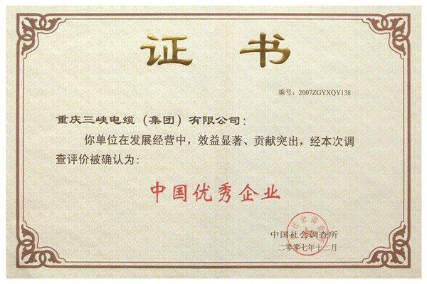 中國(guó)優(yōu)秀企業(yè)